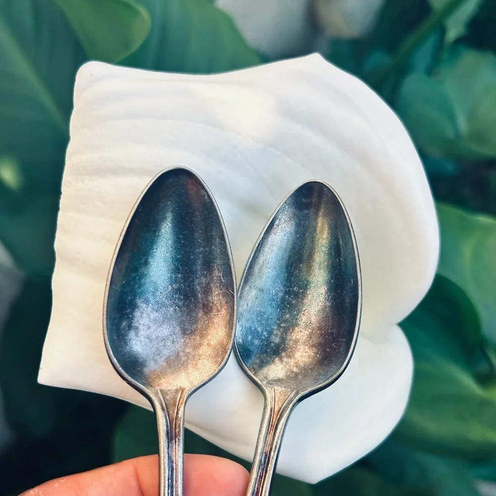 Elegant Vintage Silver Spoons Set